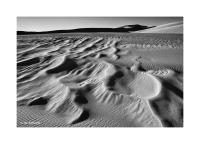 Great Sand Dunes, Colorado 81